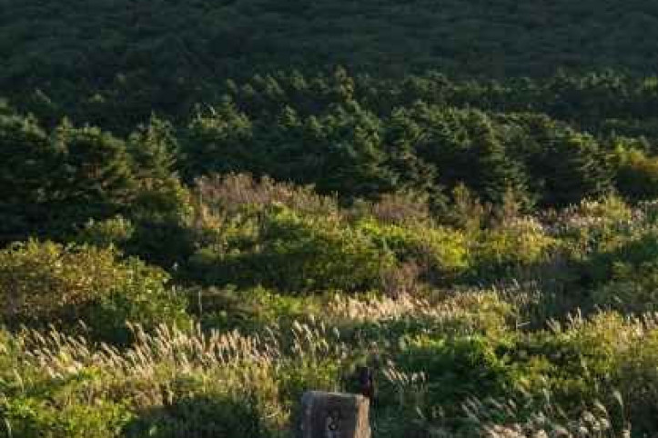 무등산국립공원(광주) 여행 추천 - 메고지고