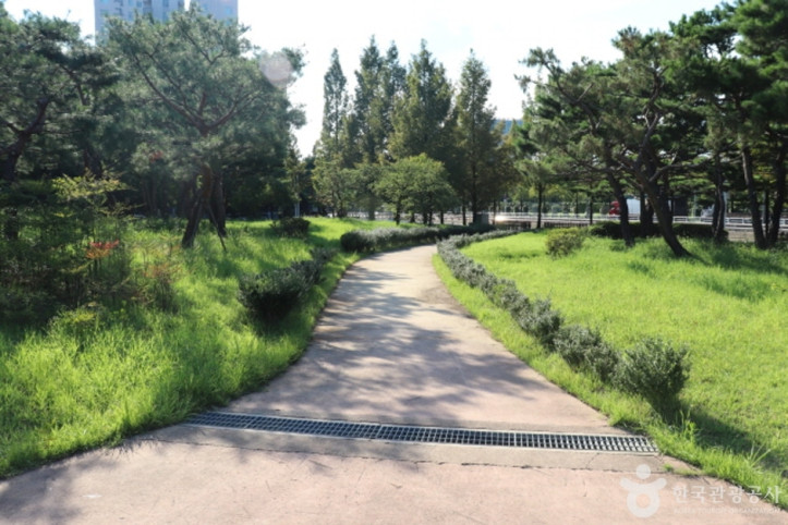 정부대전청사 자연마당 여행 추천 - 메고지고