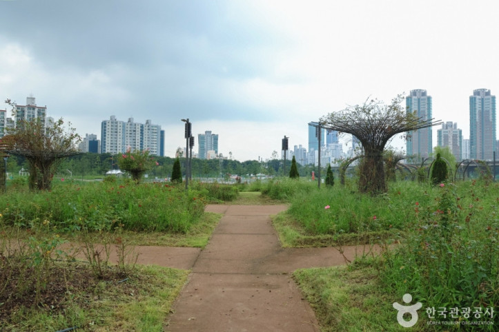 안양천가족정원 여행 추천 - 메고지고
