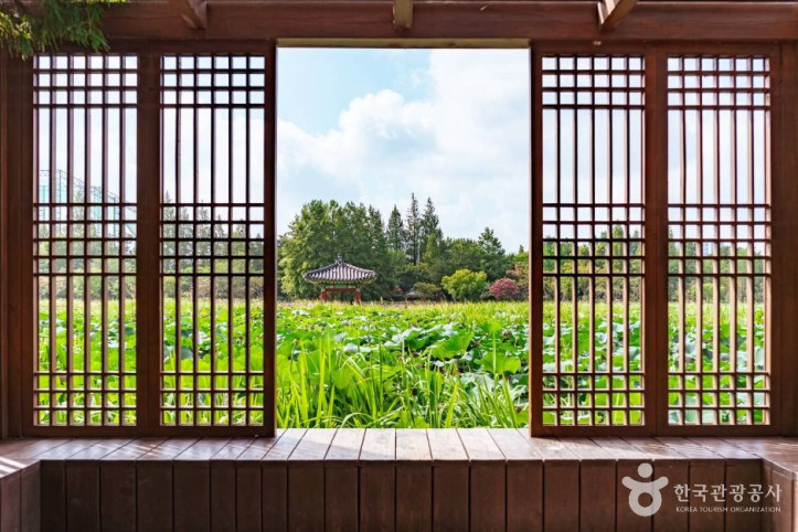 덕진공원 여행 추천 - 메고지고