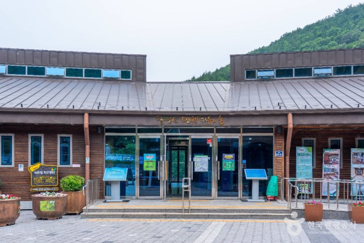 팔영산 편백 치유의 숲 여행 추천 - 메고지고
