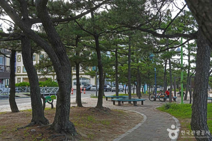 강릉 안목해맞이공원 여행 추천 - 메고지고