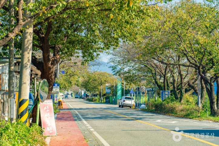 하동명품배거리 여행 추천 - 메고지고