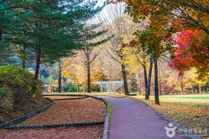 단양 다리안관광지 여행 추천 - 메고지고
