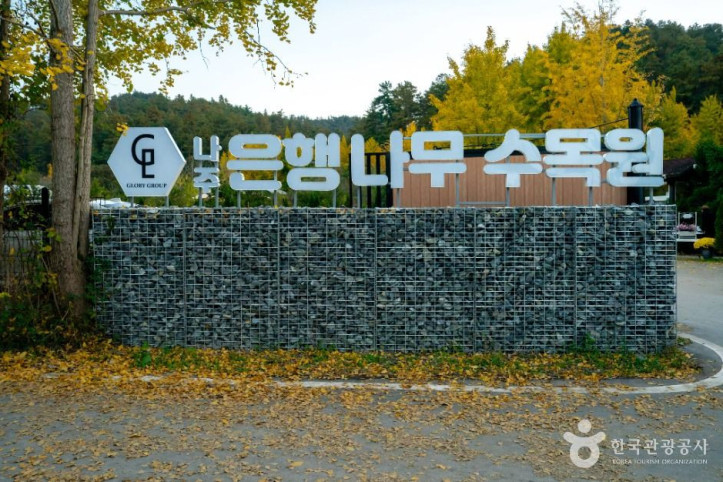 나주은행나무수목원 여행 추천 - 메고지고