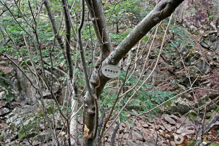 수락계곡 여행 추천 - 메고지고