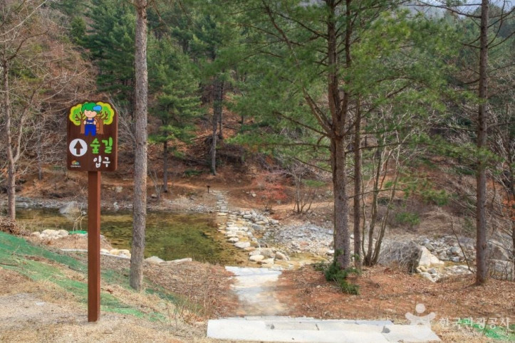 국립춘천숲체원 여행 추천 - 메고지고