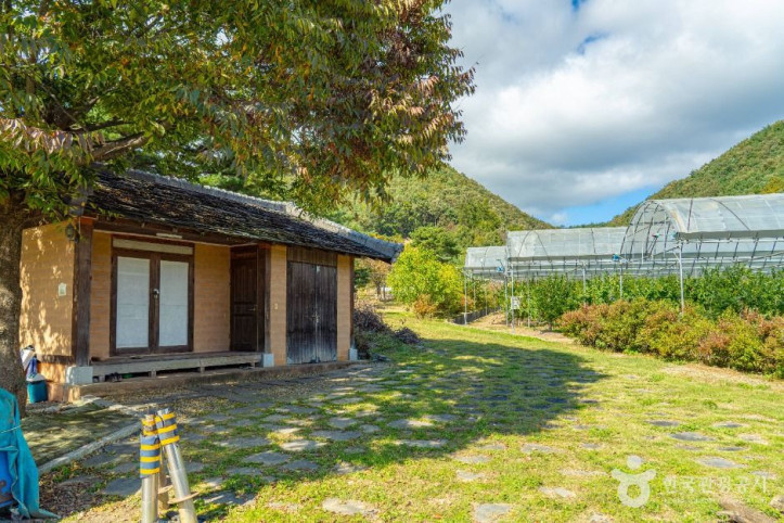 잘산대대박마을 여행 추천 - 메고지고