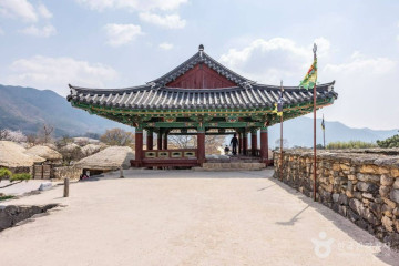 낙안읍성 벚꽃길 여행 추천 - 메고지고