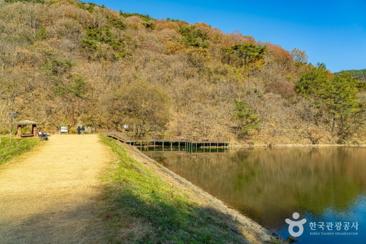 세량지 여행 추천 - 메고지고