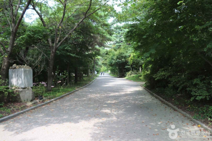 덕숭산 여행 추천 - 메고지고