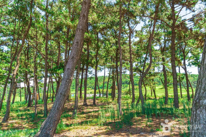 송계어촌체험휴양마을 여행 추천 - 메고지고