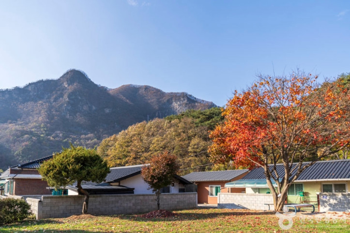 단양 향산리 삼층석탑 여행 추천 - 메고지고