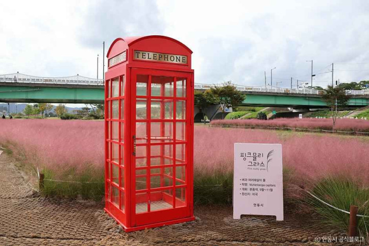 그라스원 여행 추천 - 메고지고
