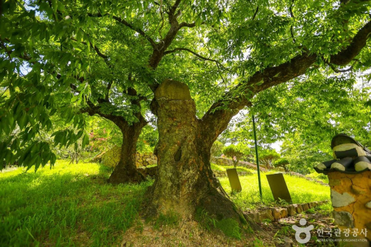 고산서당 여행 추천 - 메고지고