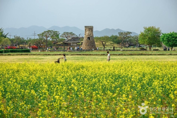경주 첨성대 여행 추천 - 메고지고