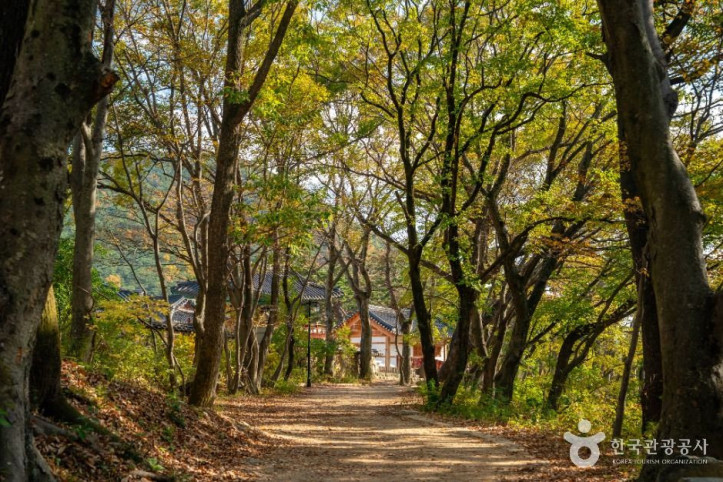보경사 여행 추천 - 메고지고