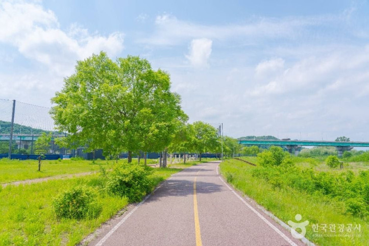 양섬 여행 추천 - 메고지고