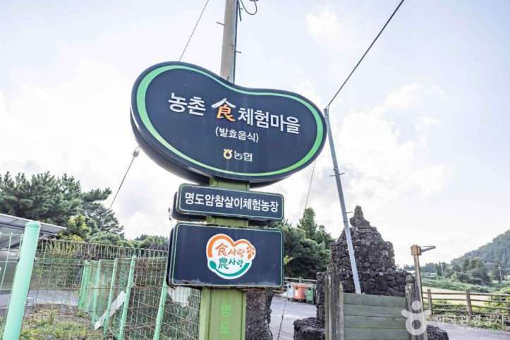 제주 명도암참살이마을 여행 추천 - 메고지고