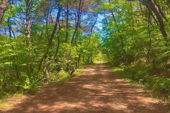 경주 남산 여행 추천 - 메고지고