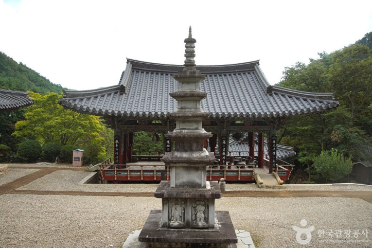 천은사(삼척) 여행 추천 - 메고지고