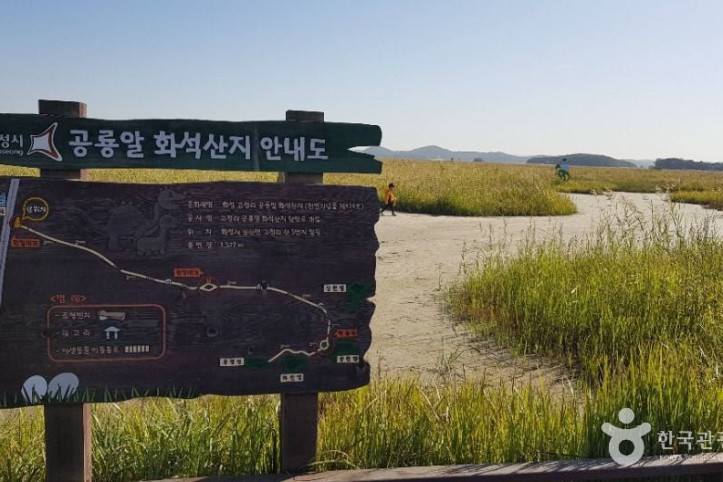 화성 고정리 공룡알 화석산지 여행 추천 - 메고지고