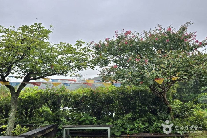 광명사(제주) 여행 추천 - 메고지고