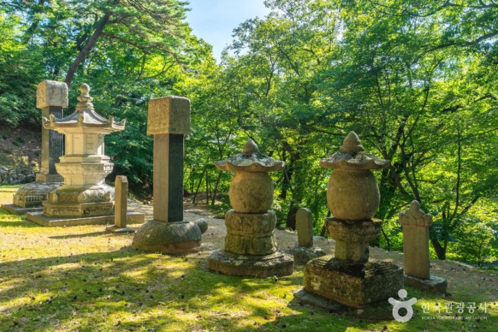 회진당원의대사지비 여행 추천 - 메고지고