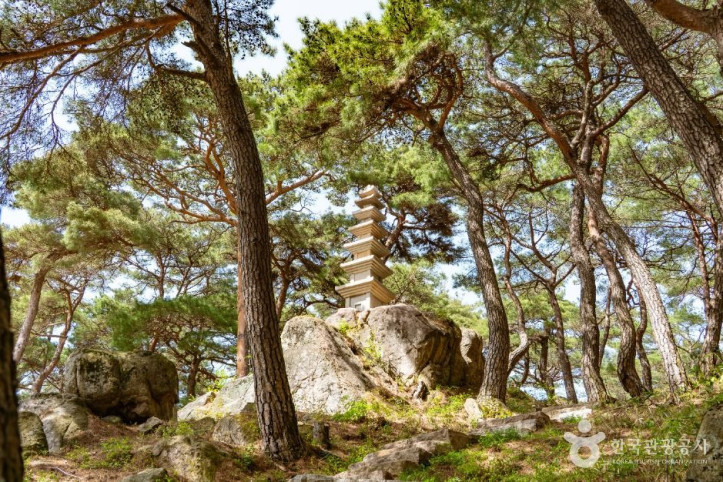 영탑사(당진) 여행 추천 - 메고지고