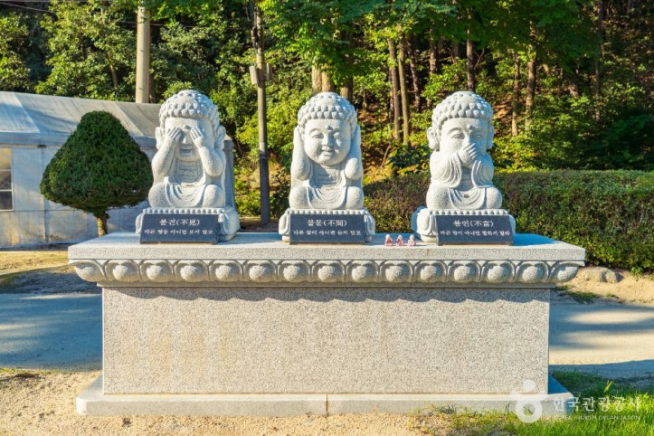 용학사 여행 추천 - 메고지고