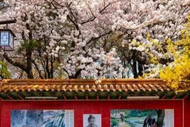 삼국지벽화거리 여행 추천 - 메고지고
