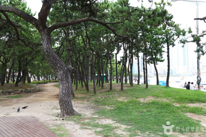 송림공원 여행 추천 - 메고지고