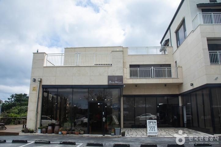 보메와산감귤체험농장 여행 추천 - 메고지고