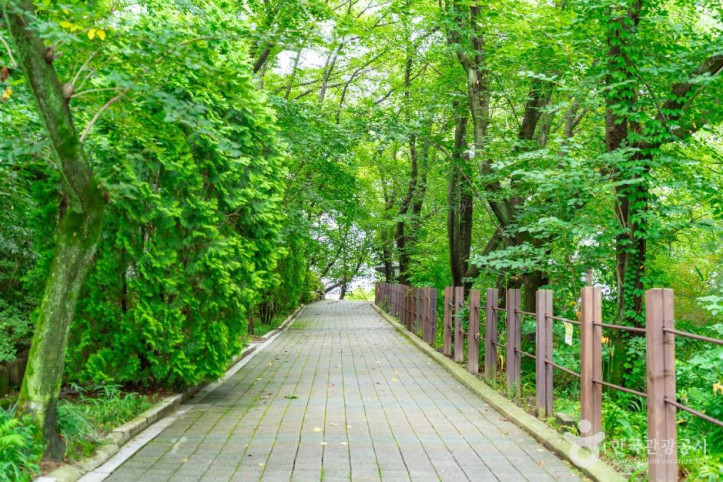 테미공원 여행 추천 - 메고지고