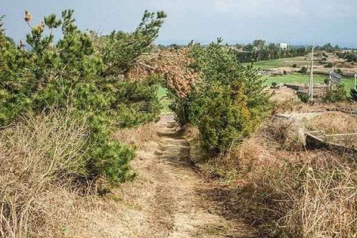 둔지봉 여행 추천 - 메고지고