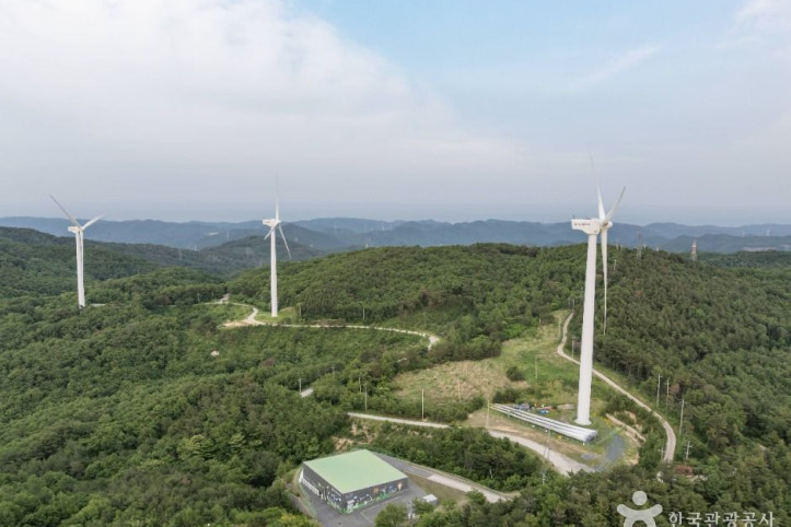 경주 풍력발전(바람의언덕) 여행 추천 - 메고지고