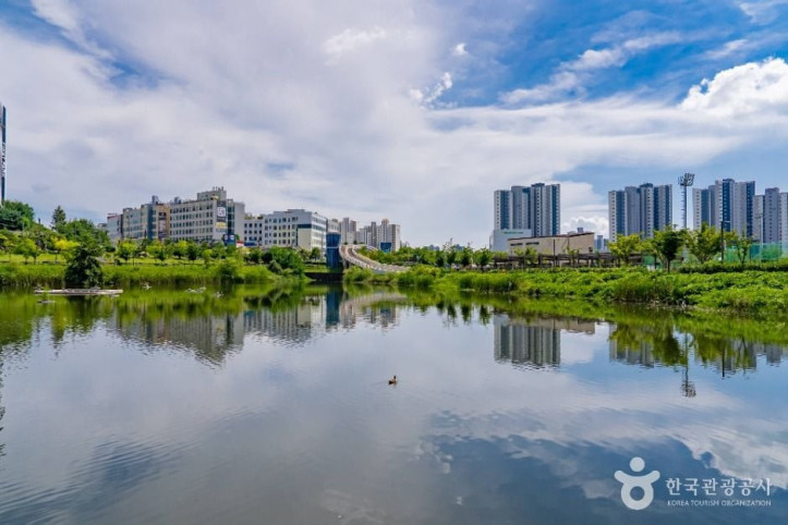 선납숲공원 여행 추천 - 메고지고