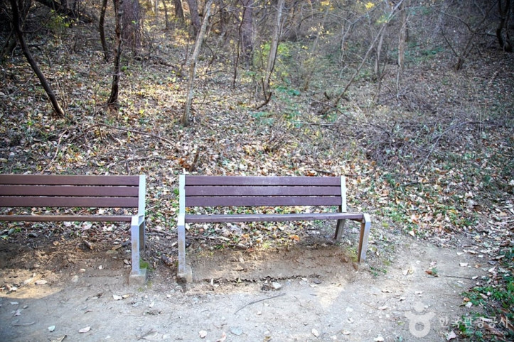 청대산 여행 추천 - 메고지고