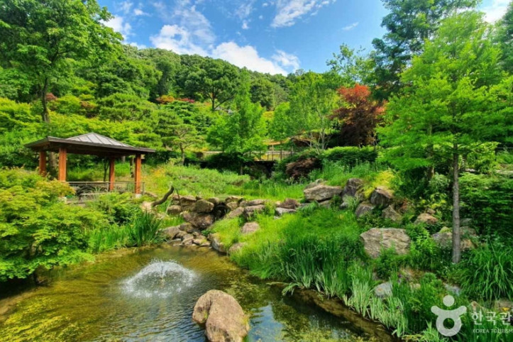 화담숲 여행 추천 - 메고지고
