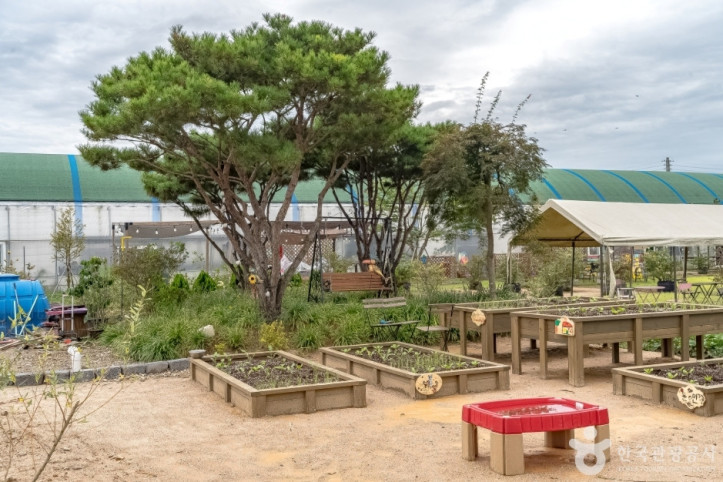용인청정팜 여행 추천 - 메고지고