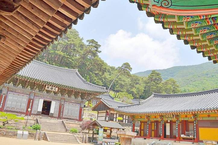 김룡사(문경) 여행 추천 - 메고지고