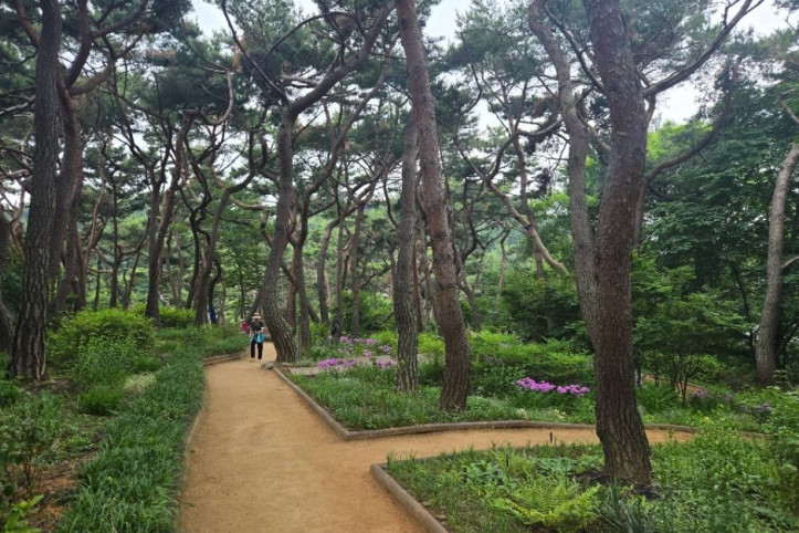 아차산 여행 추천 - 메고지고