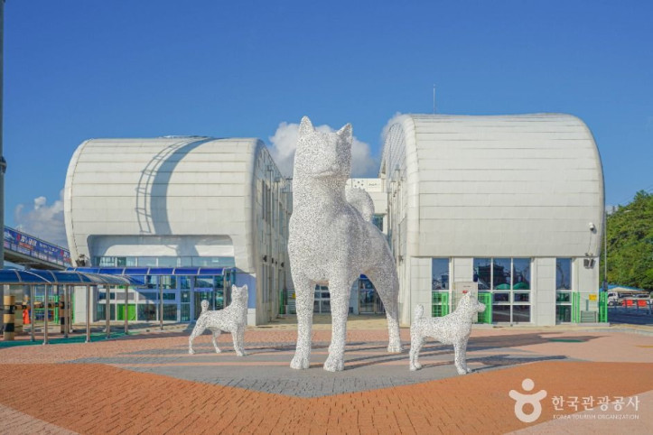 진도항 여행 추천 - 메고지고