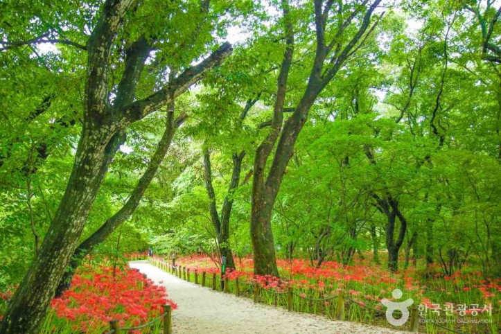 상림공원 여행 추천 - 메고지고