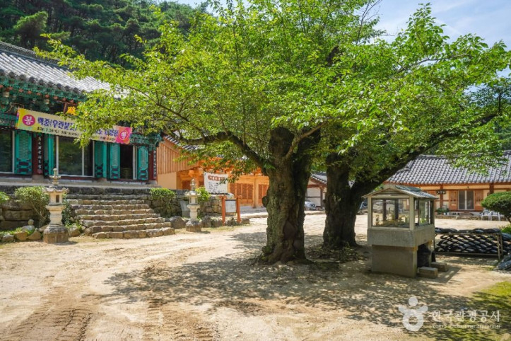 운흥사(대구) 여행 추천 - 메고지고