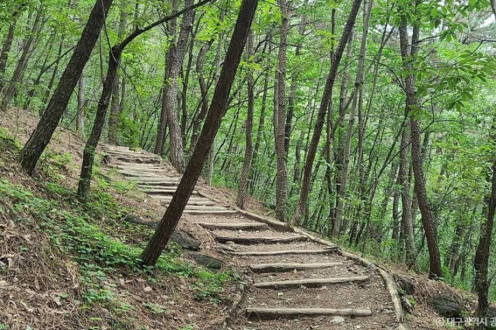와룡산(대구) 여행 추천 - 메고지고