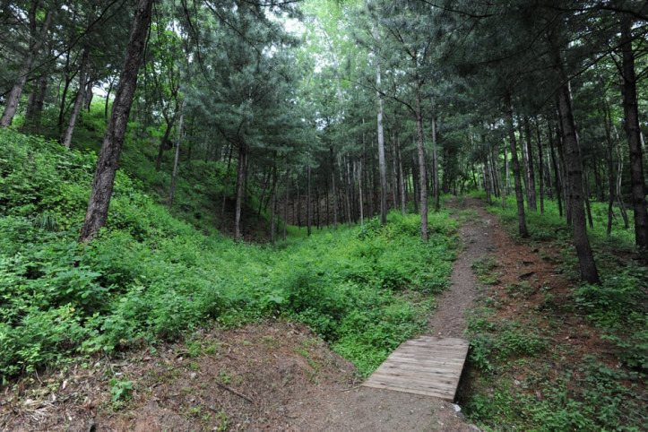 창안산산림욕장 여행 추천 - 메고지고