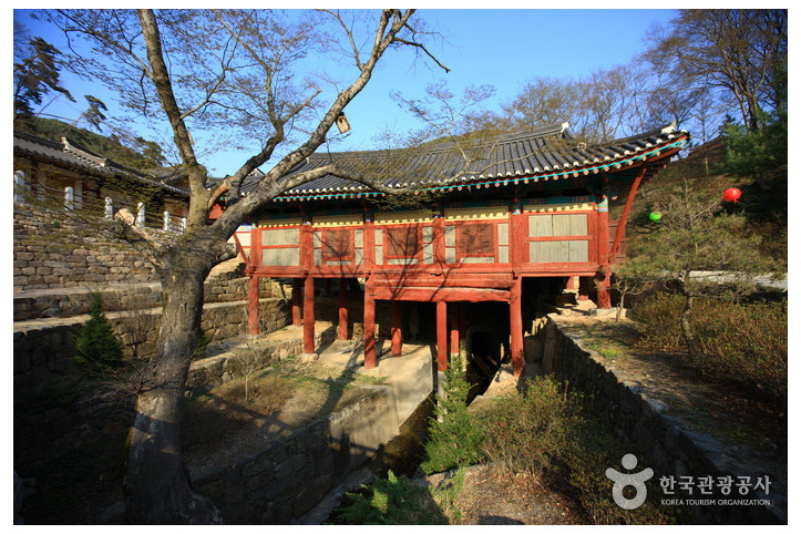 고운사(의성) 여행 추천 - 메고지고
