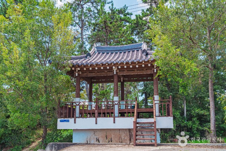 무안 하늘백련마을 여행 추천 - 메고지고