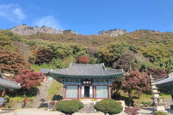 내장산국립공원 여행 추천 - 메고지고